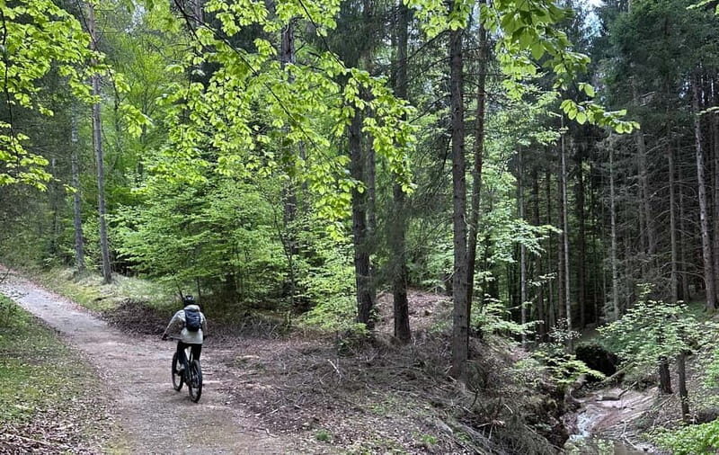 E-BIKE TOUR & Flavours at Fausior Mount - Final Thoughts: Who Should Consider This Tour?