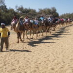 e-Scooter City Tour + Camel Ride inside Maspalomas Dunes - In-Depth Review of the Tour