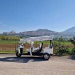 E - Tuk Panoramic Tour Assisi with audio guides - Who Is This Tour Best For?