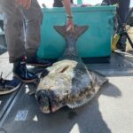 Ear Mountain Charters tours: whale watching or fishing - What to Expect During Your Day