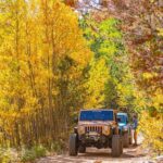 Early Season Special: Scenic Jeep Tour - Why Choose This Tour?