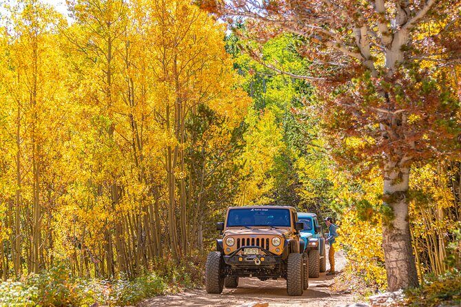 Early Season Special: Scenic Jeep Tour - Why Choose This Tour?