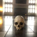 Easy Pace Tour of Kronborg Castle and Frederiksborg Palace - Practical Details and Why They Matter