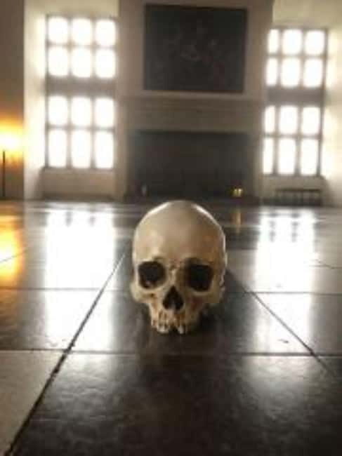 Easy Pace Tour of Kronborg Castle and Frederiksborg Palace - Practical Details and Why They Matter