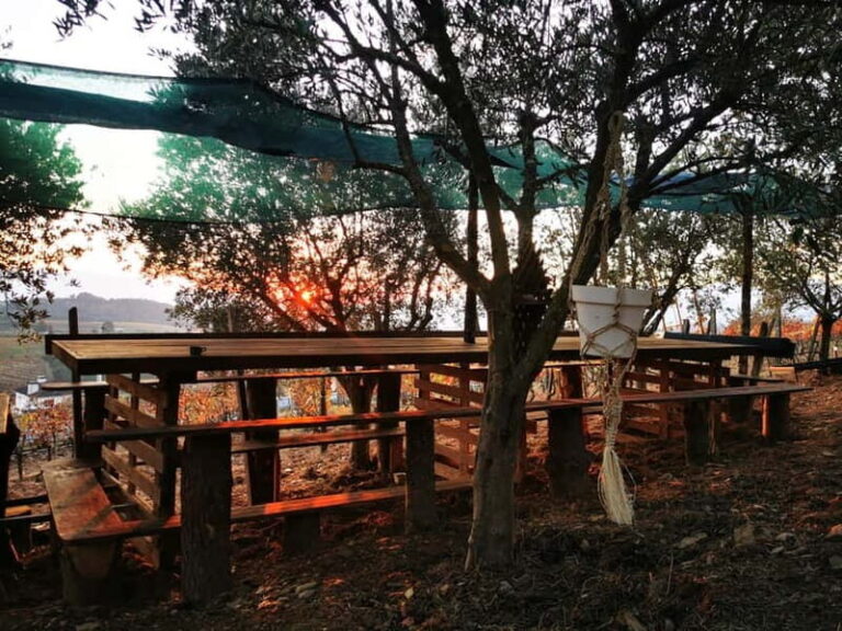 Eat in the vineyards like a Duriense - What to Expect: A Deep Dive into the Experience