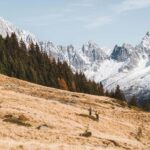 eBike Experience Mont-Blanc, from Chamonix to Courmayeur - Why This Tour Offers Real Value