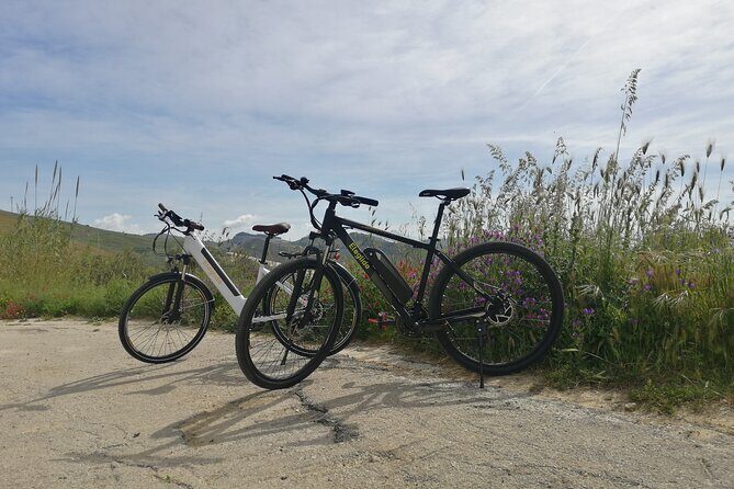 Ebike tour, Selinunte - The Practical Side: What to Expect