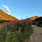 Edinburgh: Arthur's Seat Hiking Tour with Local Guide - Practical Considerations