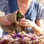 Eggares: Olive Oil Tasting with Traditional Naxian Dishes - The Value of This Experience