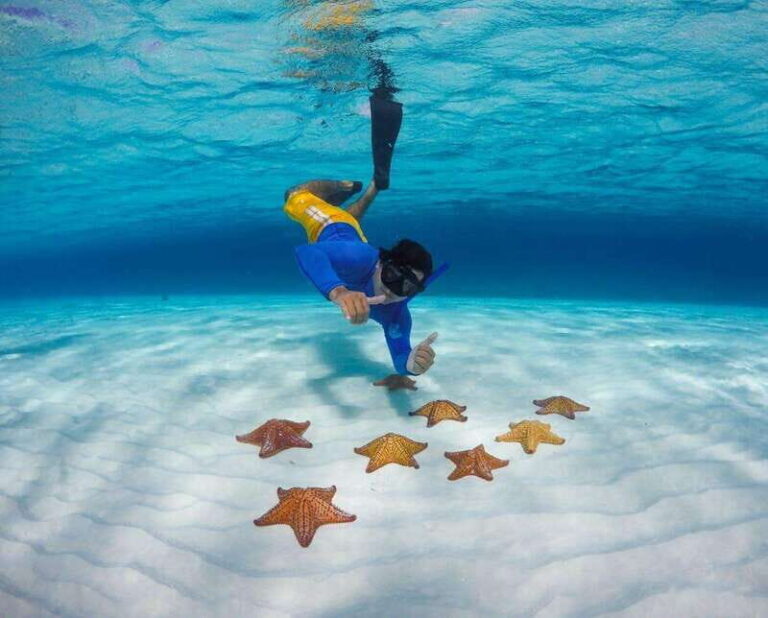 El Cielo and El Cielito in Cozumel with Beach Club, Food, and Open Bar - Practical Details & Tips