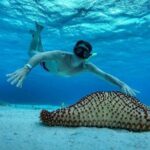 El Cielo the Breathtaking Snorkel Tour of Cozumel Cielito Beach & Lunch Included - What’s Not Included?