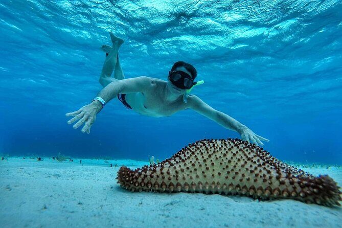El Cielo the Breathtaking Snorkel Tour of Cozumel Cielito Beach & Lunch Included - What’s Not Included?