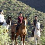 El Salobre: Horse Riding Adventure with Transfer Options - The itinerary: What will you see and do?