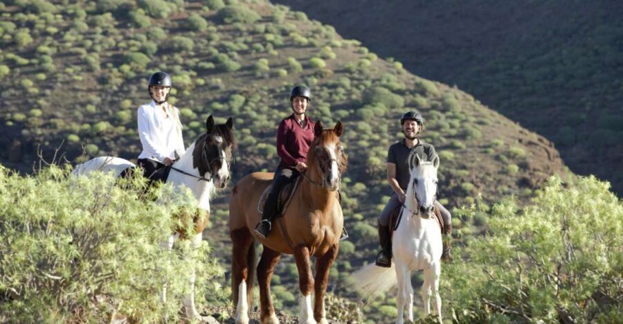 El Salobre: Horse Riding Adventure with Transfer Options - The itinerary: What will you see and do?