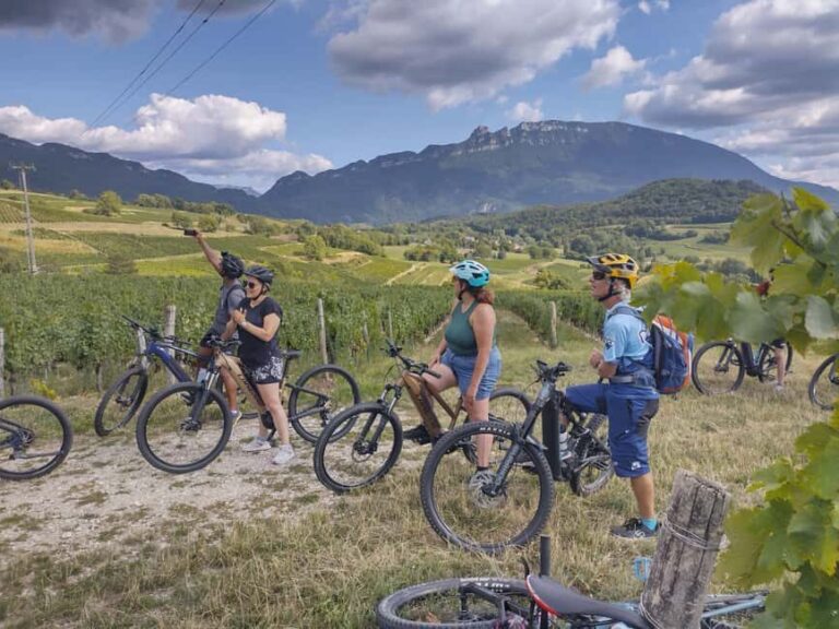Electric-assisted mountain biking - The route and scenery