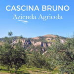 Elice (IT): "The house of snails" and beauty product - Visit to Azienda Agricola Cascina Bruno