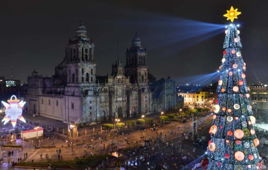Enchanted Christmas Private Walking Tour in Mexico City - The Practical Side: What to Expect