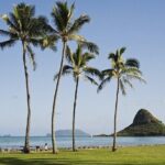Enchanting Small Group Circle Island Tour Across Oahu Paradise - Who Would Love This Tour?
