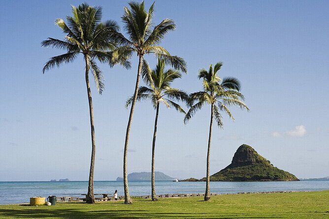 Enchanting Small Group Circle Island Tour Across Oahu Paradise - Who Would Love This Tour?