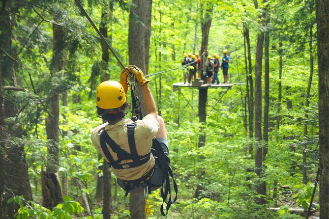 Enchanting Zipline , Camano Island and Deception Pass Tour - Authentic Experiences and Insights from Reviewers