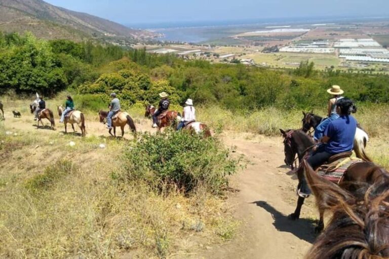 Ensenada: Bajas Hidden Trails: Horseback Ride w/ Ocean View - Who Should Consider This Tour?