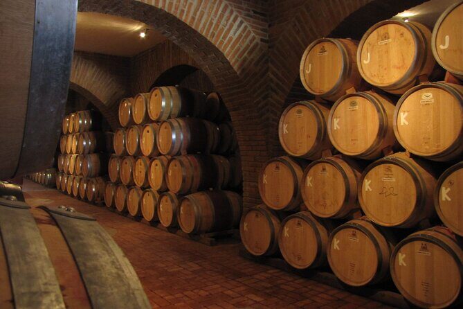 Ensenada, La Bufadora and Guadalupe Valley Private Guided Tour - The Sum Up