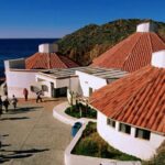 Ensenada Shore Excursion: City Tour & La Bufadora - Who Should Consider This Tour?