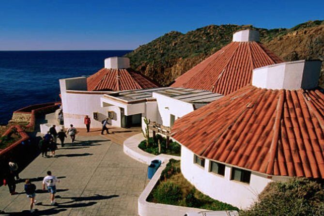 Ensenada Shore Excursion: City Tour & La Bufadora - Who Should Consider This Tour?