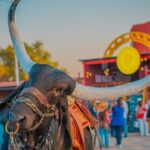 Entrance and transfer to the Texcoco International Horse Fair26 - Final Thoughts: Is This Tour Worth It?