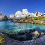 Entrance to Xcaret Park with access to the night show included. - Highlights of the Experience