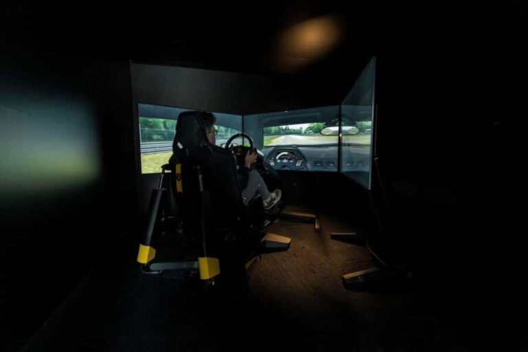 Entry to the Lamborghini Museum and Professional Simulator - The Racing Simulator: Adrenaline and Authenticity