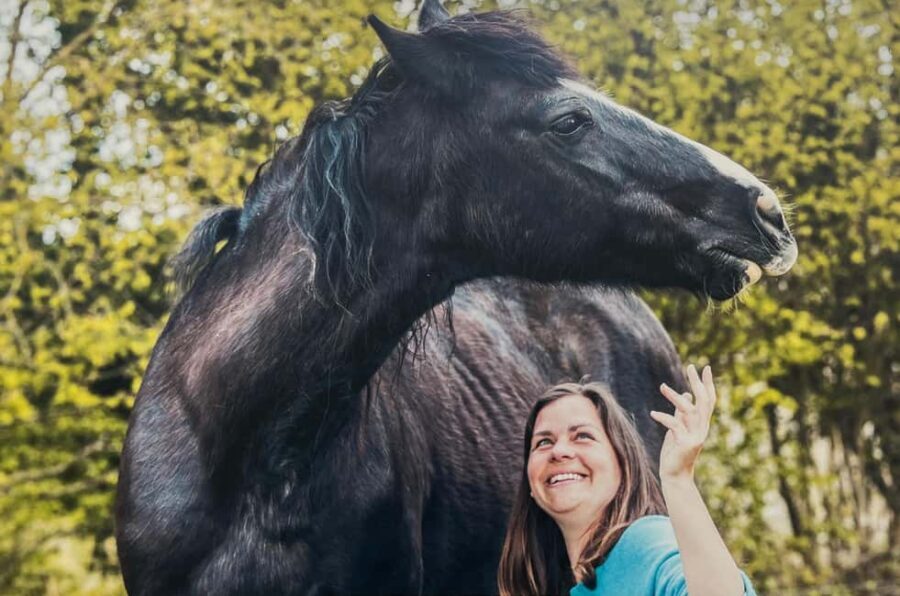 Equicoaching - experience the connection with horses in Normandy - Good To Know