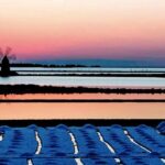 Erice Marsala Segesta excursion from Palermo - The Authenticity and Value