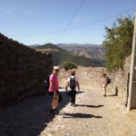 Ervedosa do Douro: Guided Walking Tour with Picnic Lunch - Why Choose This Tour?