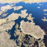 Escape from Tallinn  Hike, Swim, Forage & Cuddle Sled Dogs - Exploring the Itinerary in Detail