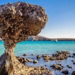 Espiritu Santo and Sealion Swimming aboard a luxury yacht - The Marine Adventure: Snorkeling, Paddleboarding & Wildlife