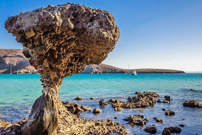 Espiritu Santo and Sealion Swimming aboard a luxury yacht - The Marine Adventure: Snorkeling, Paddleboarding & Wildlife