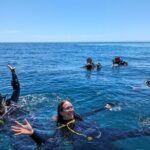 Espíritu Santo Private Scuba Tour - Who Would Love This Tour?