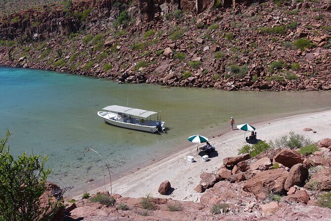 Espiritu Santo Wildlife Expedition and Snorkeling Tour (Private) - Exploring Isla Espiritu Santo: The Heart of the Adventure
