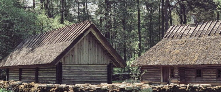 Estonian Open Air Museum Cultural VIP tour from Tallinn - Value & Practical Tips