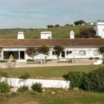 Estremoz, Alentejo, Portugal: Wine tour & Wine tasting - What the Winery Offers
