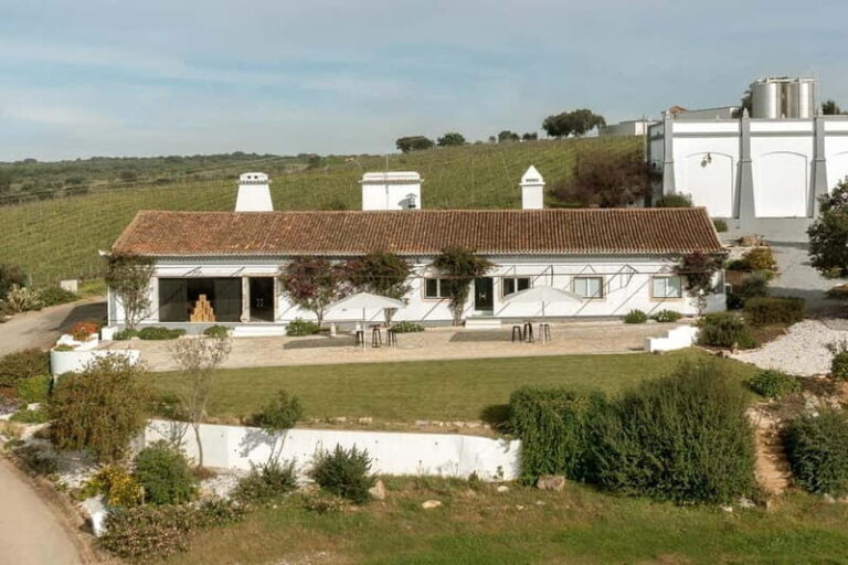 Estremoz, Alentejo, Portugal: Wine tour & Wine tasting - What the Winery Offers