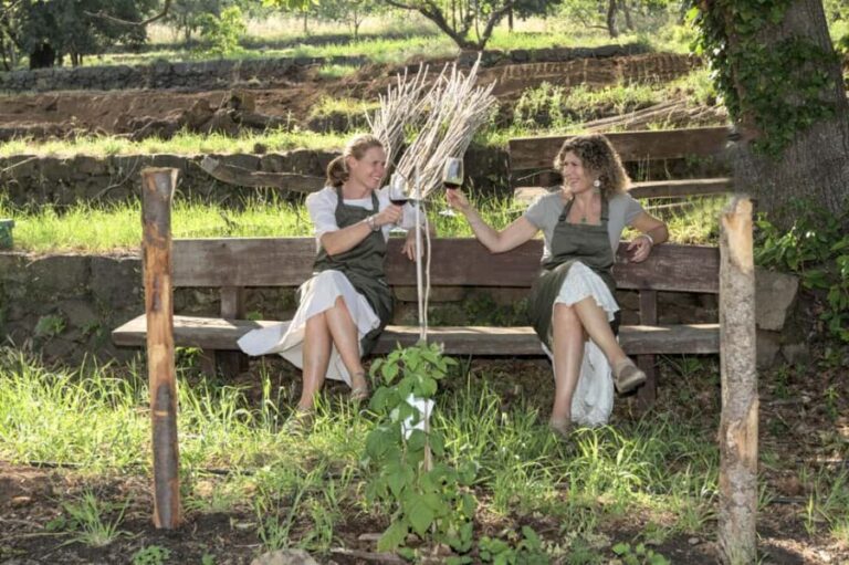 Etna in a glass: artisan wine tasting at the foot of the volcano - Good To Know