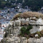 Etretat - Garden of Etretat & Cliffs - Voyage Privé - Who Is This Tour Best Suited For?