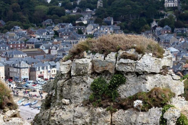 Etretat - Garden of Etretat & Cliffs - Voyage Privé - Who Is This Tour Best Suited For?