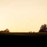 Evening Wildlife Safari Stockholm - Itinerary Breakdown: What to Expect at Each Stop