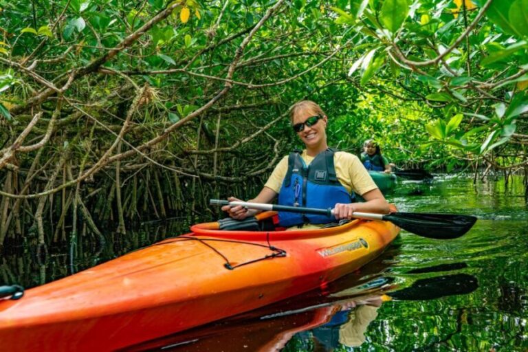 Everglades City: Guided Kayaking Tour and Airboat Ride - Good To Know