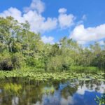 Everglades Eco Airboat Tour small group & top transportation - Who Will Love This Tour?