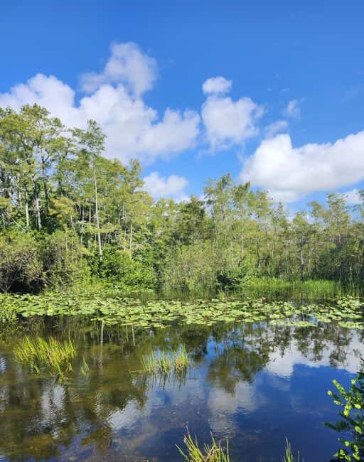 Everglades Eco Airboat Tour small group & top transportation - Who Will Love This Tour?