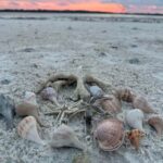 Everglades Pirate and Beach Adventure - The Itinerary and Experience Breakdown